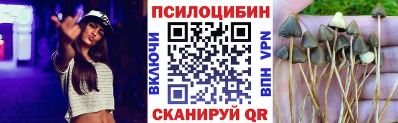 площадка какой сайт  Нижний Тагил  Псилоцибиновые грибы GOLDEN TEACHER  купить закладку 