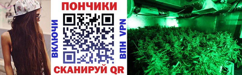 Бошки Шишки тримм  дарнет шоп  Нижний Тагил 